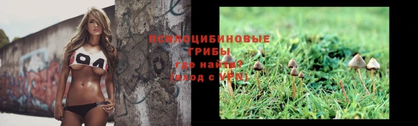 круглые Алзамай