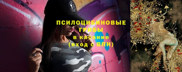 круглые Алзамай