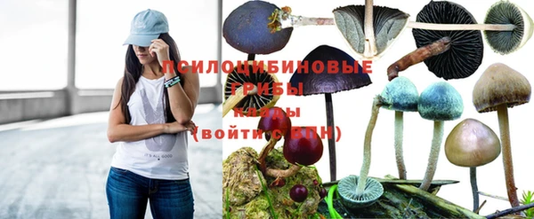 круглые Алзамай