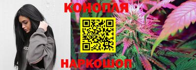 шишки Славянск-на-Кубани