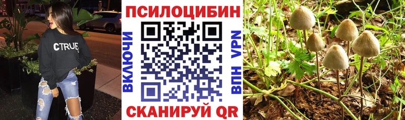 Псилоцибиновые грибы Psilocybe  Тайшет 